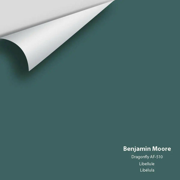 Benjamin Moore - Dragonfly AF-510 Colour Sample