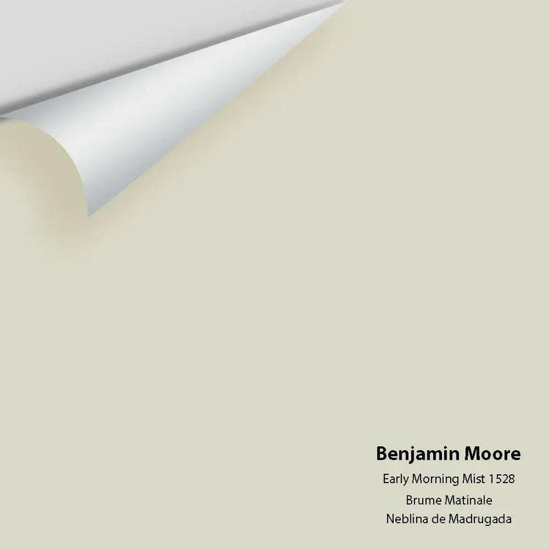 Benjamin Moore - Early Morning Mist 1528 Colour Sample