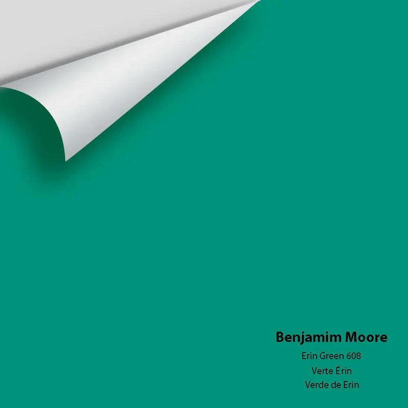 Big Paint Chip - Erin Green 608