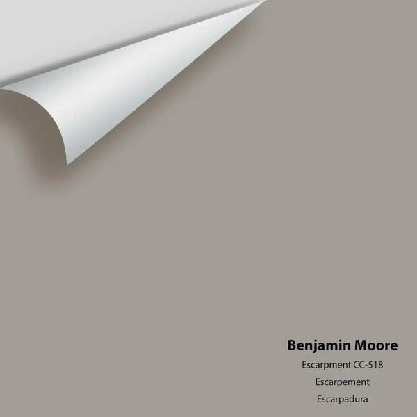 Benjamin Moore - Escarpment CC-518 Colour Sample