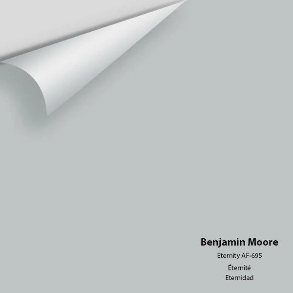 Benjamin Moore - Eternity AF-695 Colour Sample