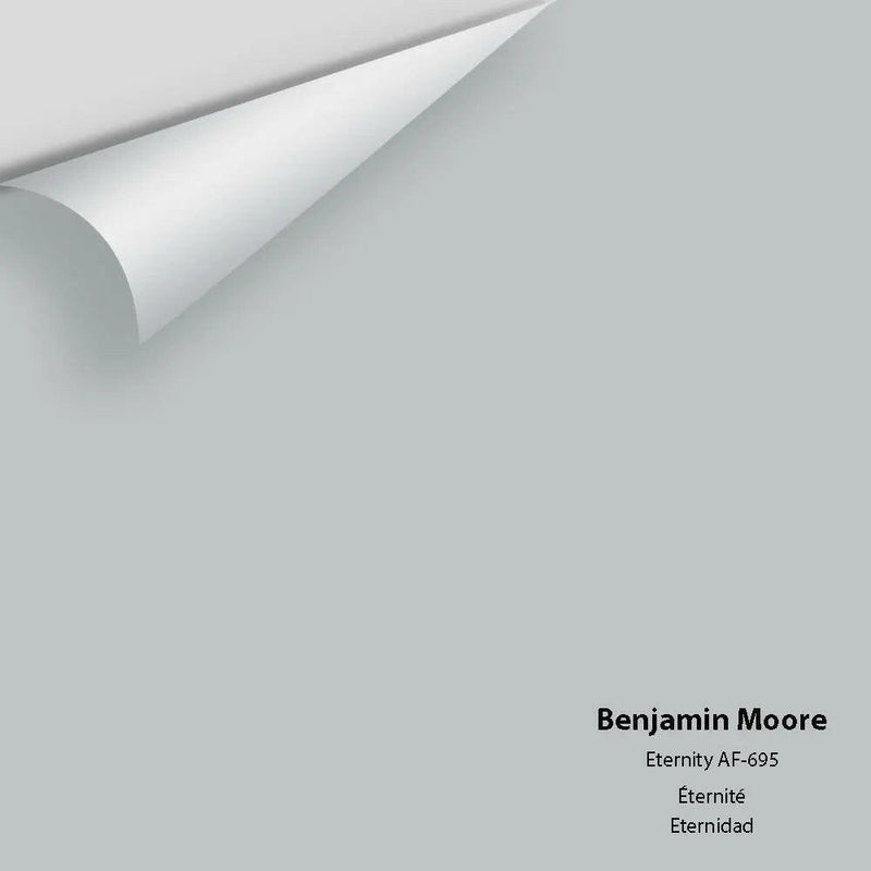 Benjamin Moore - Eternity AF-695 Colour Sample