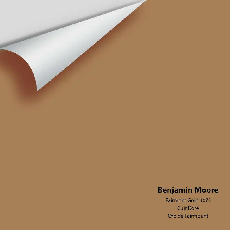 Big Paint Chip - Fairmont Gold 1071