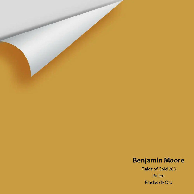 Big Paint Chip - Fields of Gold 203