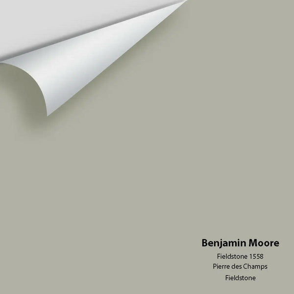 Benjamin Moore - Fieldstone 1558 Colour Sample