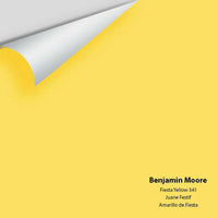 Big Paint Chip - Fiesta Yellow 341