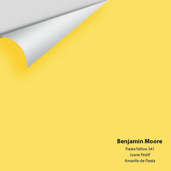 Big Paint Chip - Fiesta Yellow 341