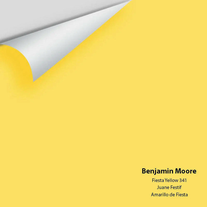 Big Paint Chip - Fiesta Yellow 341