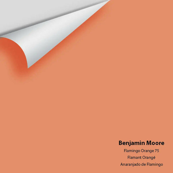 Big Paint Chip - Flamingo Orange 75