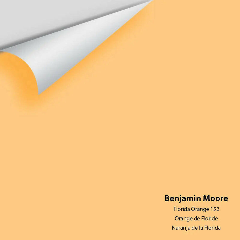 Big Paint Chip - Florida Orange 152