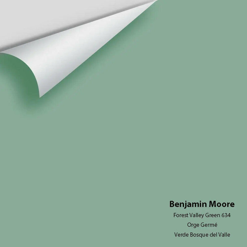 Benjamin Moore - Forest Valley Green 634