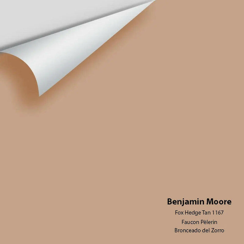 Big Paint Chip - Fox Hedge Tan 1167