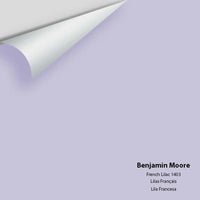 Big Paint Chip - French Lilac 1403 - Colour Squared Inc.