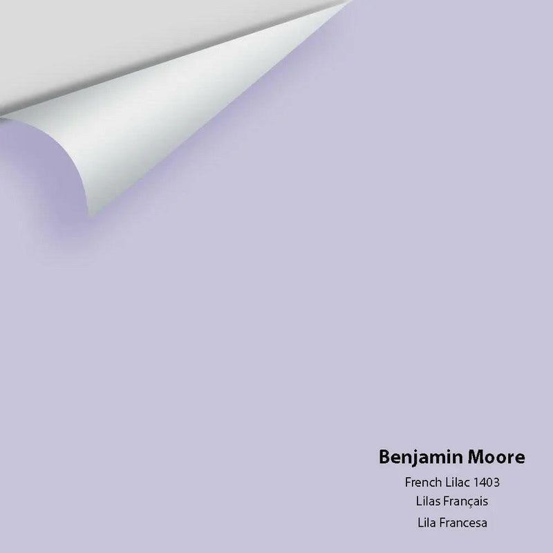 Big Paint Chip - French Lilac 1403 - Colour Squared Inc.