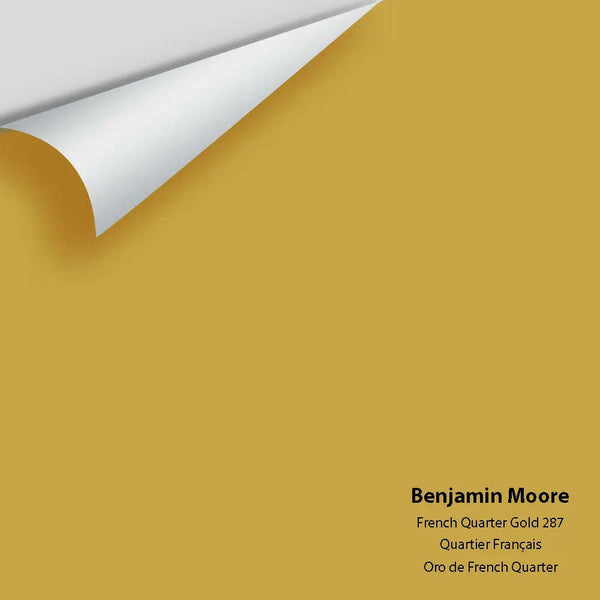 Big Paint Chip - French Quarter Gold 287