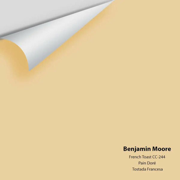 Big Paint Chip - French Toast CC-244