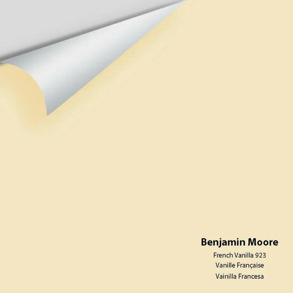 Big Paint Chip - French Vanilla 923