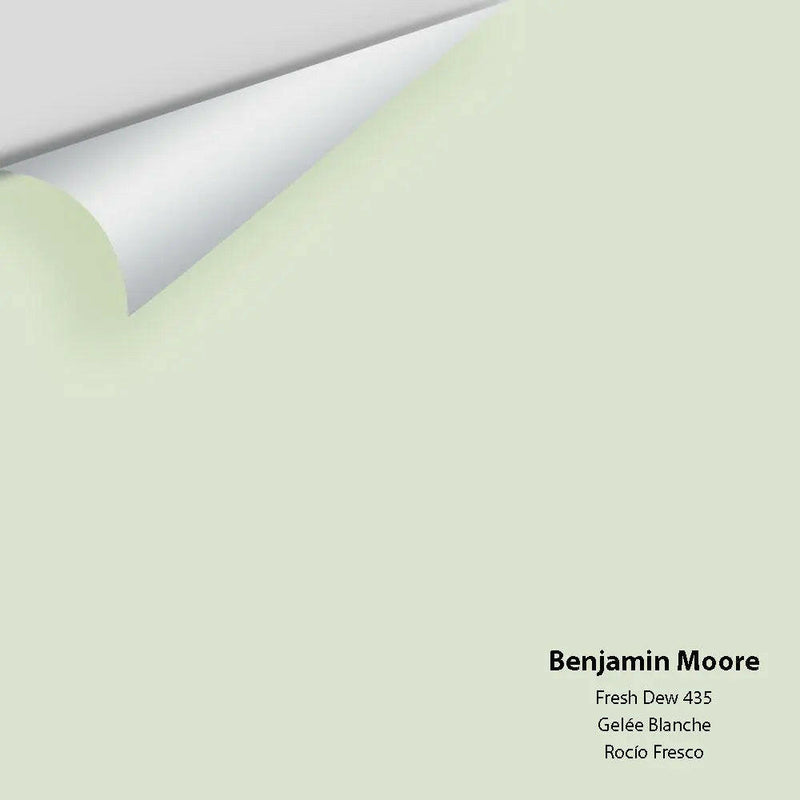 Benjamin Moore - Fresh Dew 435 Colour Sample