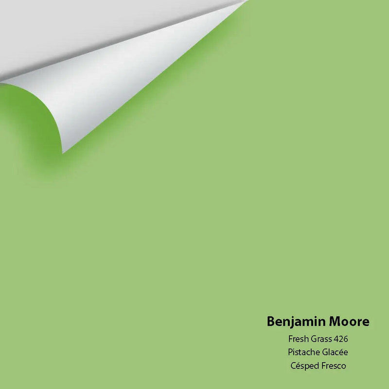Big Paint Chip - Fresh Grass 426