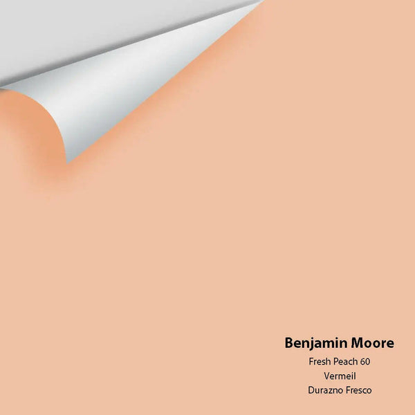 Big Paint Chip - Fresh Peach 60