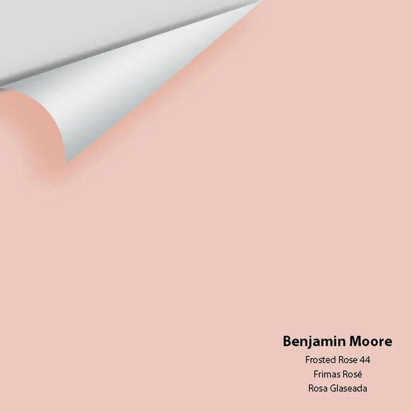 Big Paint Chip - Frosted Rose 44