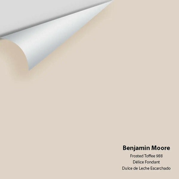 Big Paint Chip - Frosted Toffee 988