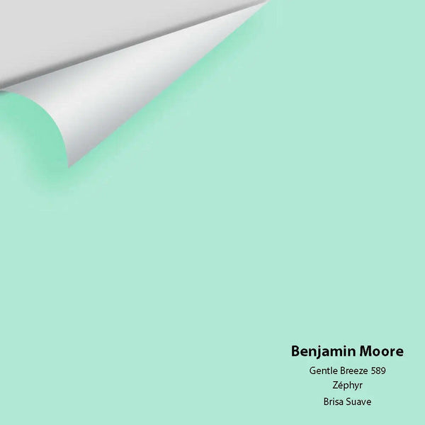 Big Paint Chip - Gentle Breeze 589