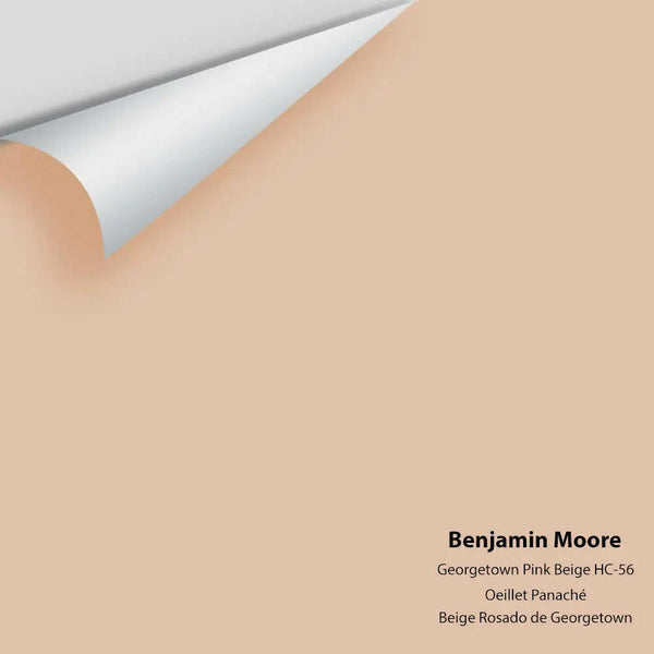 Big Paint Chip - Georgetown Pink Beige HC-56
