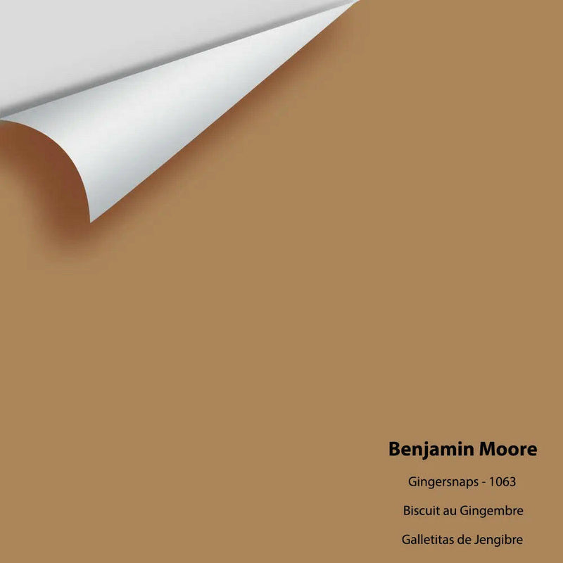 Big Paint Chip - Gingersnaps 1063