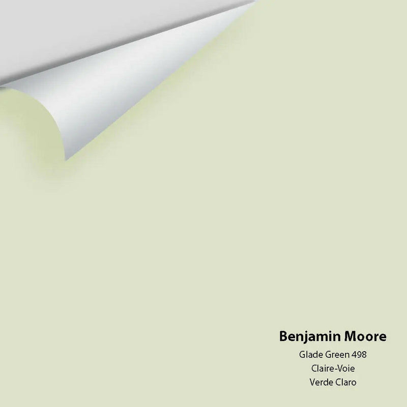 Big Paint Chip - Glade Green 498