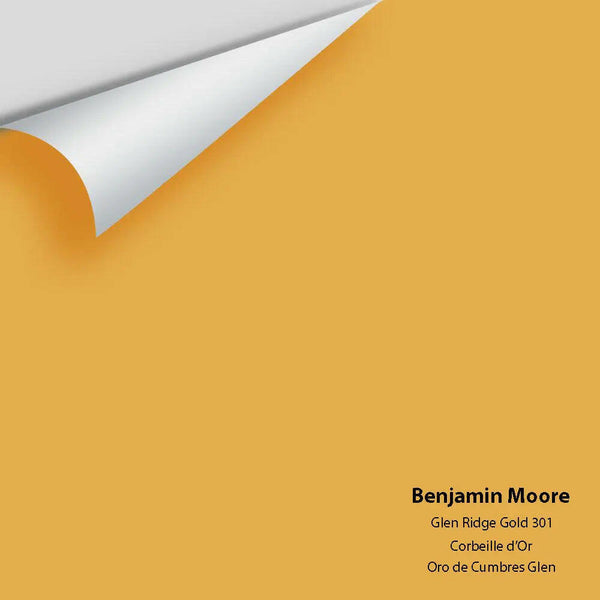 Big Paint Chip - Glen Ridge Gold 301