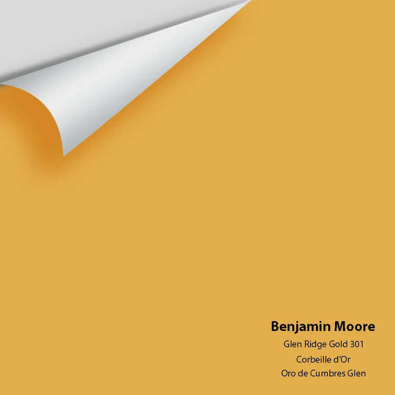 Big Paint Chip - Glen Ridge Gold 301