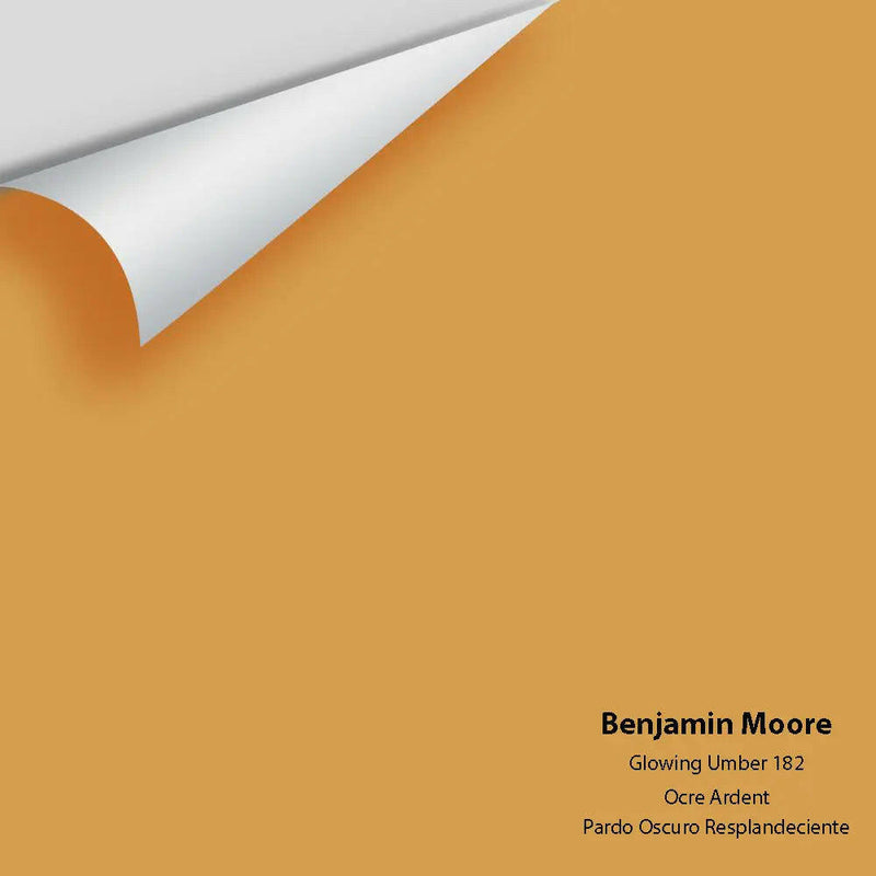 Big Paint Chip - Glowing Umber 182