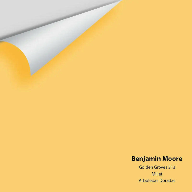 Big Paint Chip - Golden Groves 313