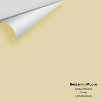 Big Paint Chip - Golden Hills 262