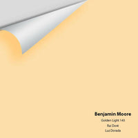 Big Paint Chip - Golden Light 143