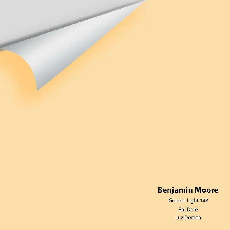 Big Paint Chip - Golden Light 143