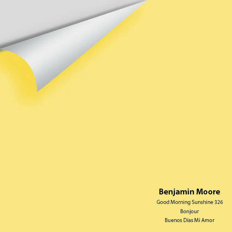 Big Paint Chip - Good Morning Sunshine 326