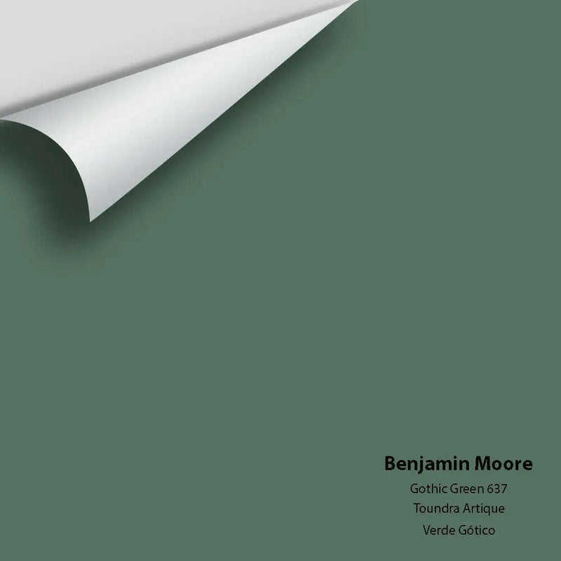 Big Paint Chip - Gothic Green 637