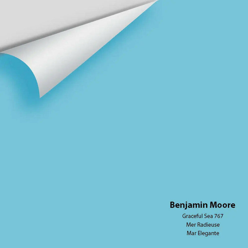 Big Paint Chip - Graceful Sea 767