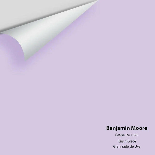 Big Paint Chip - Grape Ice 1395 - Colour Squared Inc.