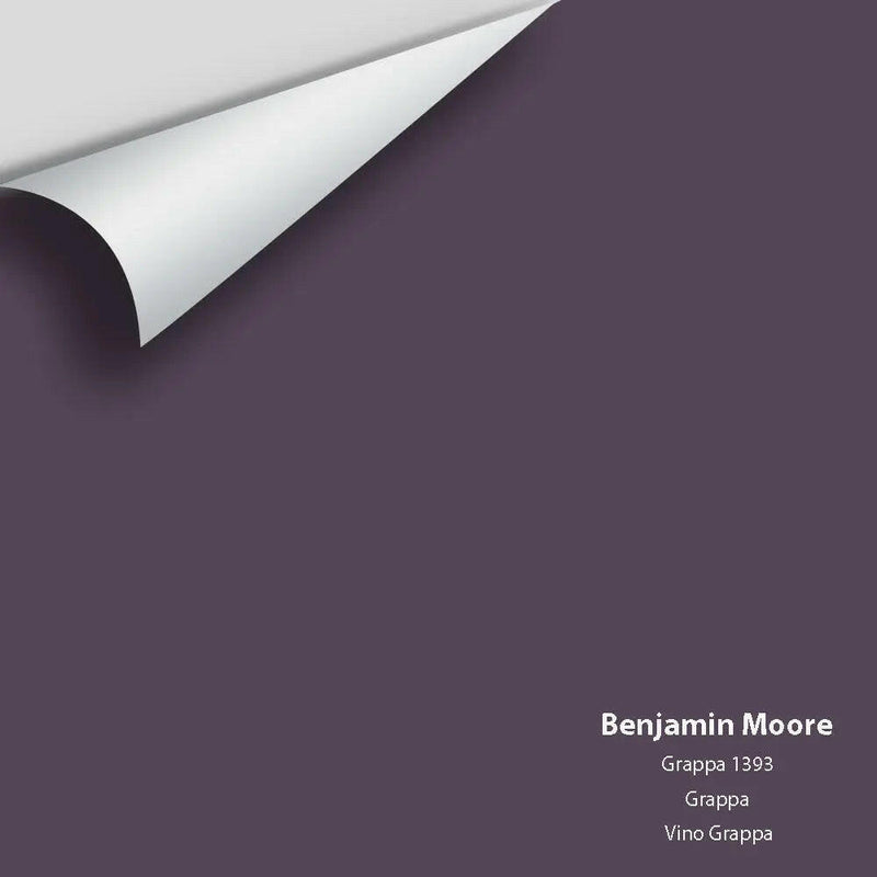 Big Paint Chip - Grappa 1393 - Colour Squared Inc.