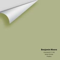 Big Paint Chip - Grasslands 502 / CC-590