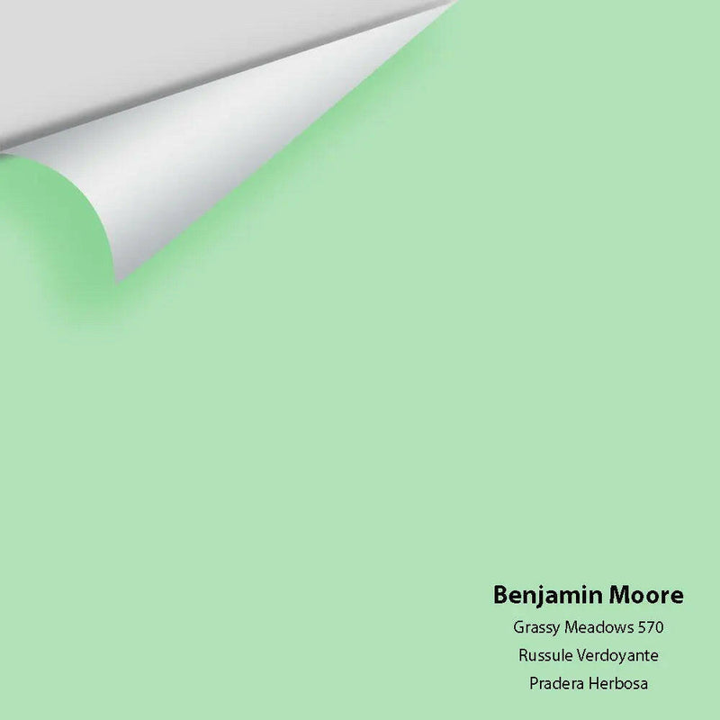Big Paint Chip - Grassy Meadows 570