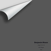 Benjamin Moore - Gray 2121-10 Colour Sample