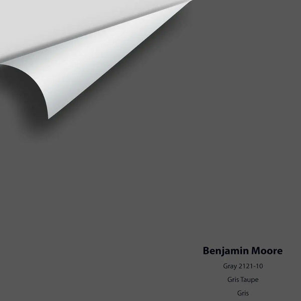 Benjamin Moore - Gray 2121-10 Colour Sample