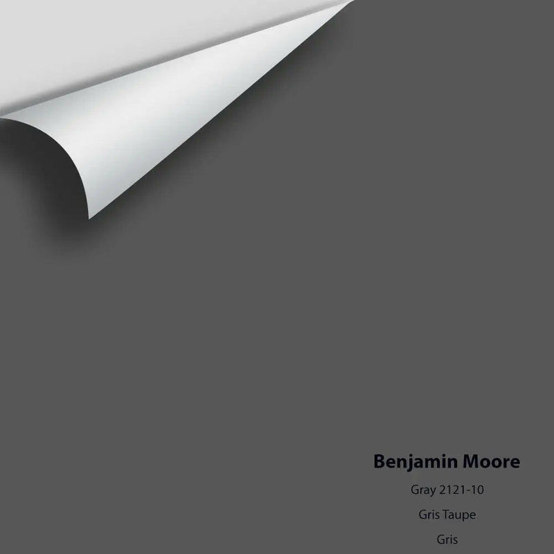 Benjamin Moore - Gray 2121-10 Colour Sample