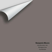 Benjamin Moore - Gray Mountain 1462 Colour Sample
