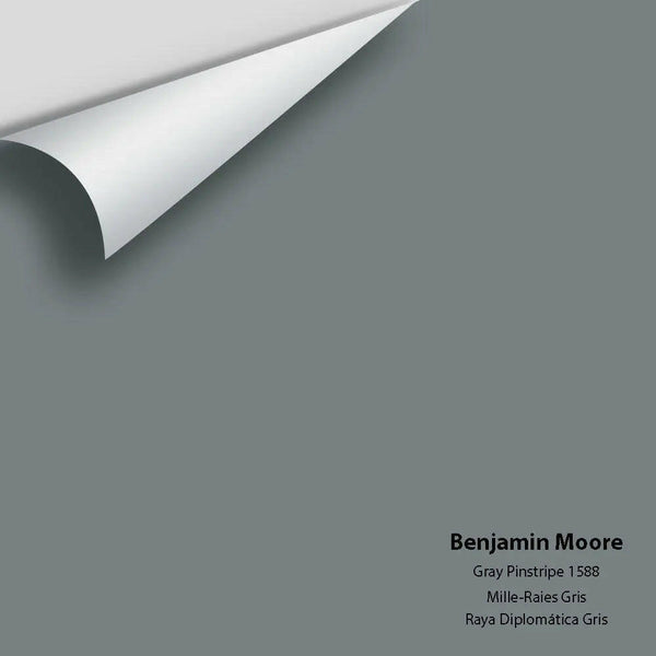 Big Paint Chip - Gray Pinstripe 1588