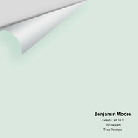 Big Paint Chip - Green Cast 842